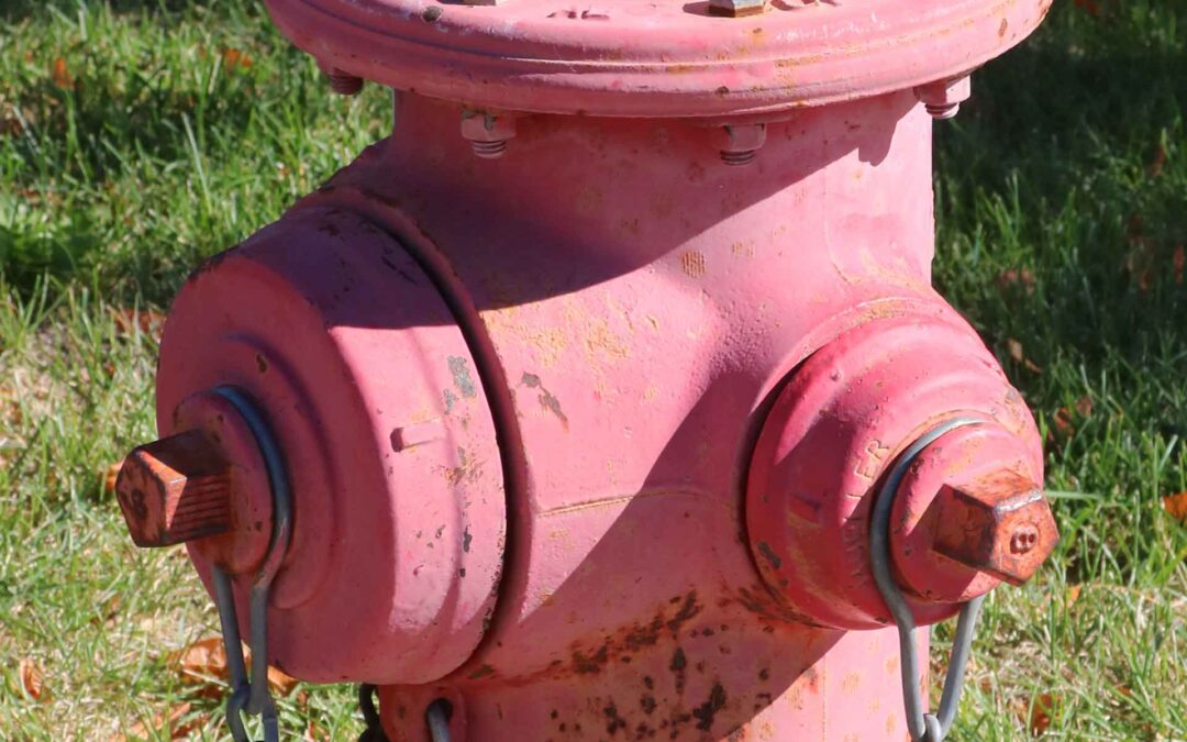 Keep Them Clear! Adopt Your Local Fire Hydrant
